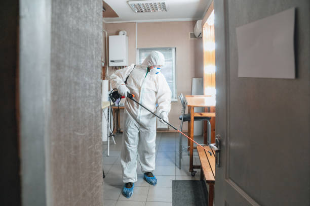 Best Industrial Mold Remediation  in Spring Valley Lake, CA